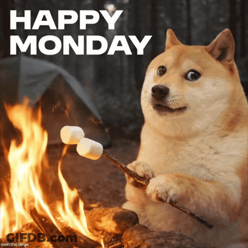 A Dog Is Roasting Marshmallows In Front Of A Fire With The Words Happy Monday Above It GIF