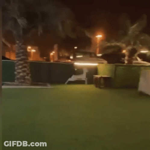 A Dog Is Running On A Lush Green Lawn In Front Of A Tent At Night . GIF