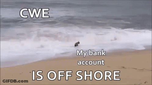 A Dog Is Running Out Of The Ocean On A Beach GIF