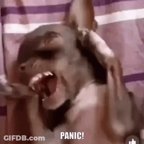 A Dog Is Screaming And Covering Its Ears With Its Paws While A Person Holds Its Head . GIF