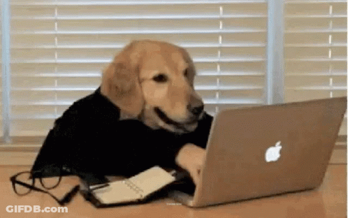 A Dog Is Sitting At A Desk In Front Of An Apple Laptop . GIF