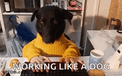 A Dog Is Sitting At A Desk Typing On A Keyboard . GIF