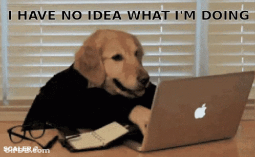 A Dog Is Sitting At A Desk Using An Apple Laptop Computer GIF