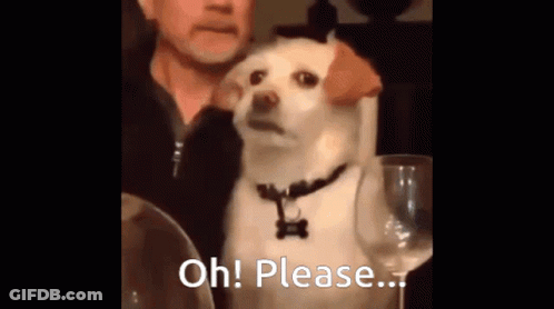 A Dog Is Sitting At A Table With A Man And A Glass Of Wine . GIF