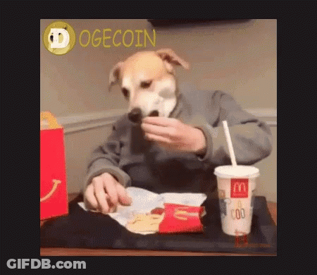 A Dog Is Sitting At A Table With A Mcdonald 'S Cup GIF