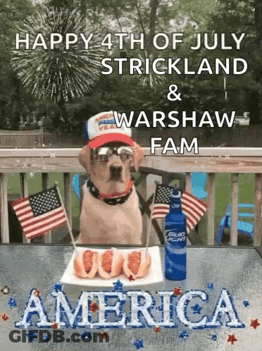 A Dog Is Sitting At A Table With A Plate Of Food And A Bottle Of Bud Light GIF