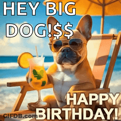 A Dog Is Sitting In A Beach Chair Holding A Drink And Saying " Hey Big Dogs ! $ Happy Birthday ! " GIF