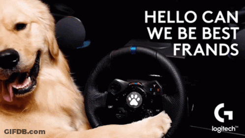 A Dog Is Sitting In A Car With A Steering Wheel And The Words " Hello Can We Be Best Frands " GIF