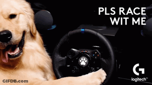 A Dog Is Sitting In A Car With A Steering Wheel And The Words Pls Race Wit Me GIF