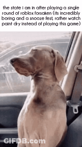 A Dog Is Sitting In A Car With Its Eyes Closed And Looking Out The Window . GIF