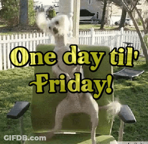 A Dog Is Sitting In A Chair With One Day Til Friday Written On It GIF