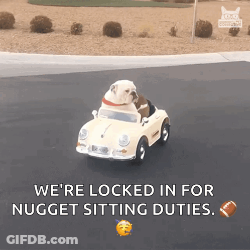 A Dog Is Sitting In A Toy Car With The Words " We 'Re Locked In For Nugget Sitting Duties " GIF