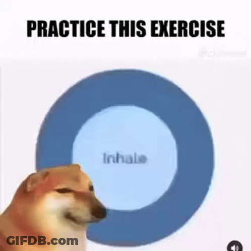 A Dog Is Sitting In Front Of A Blue Circle That Says `` Practice This Exercise '' . GIF