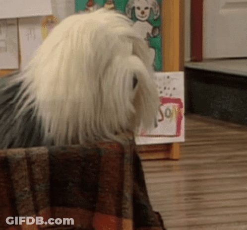 A Dog Is Sitting In Front Of A Sign That Says " Say " GIF