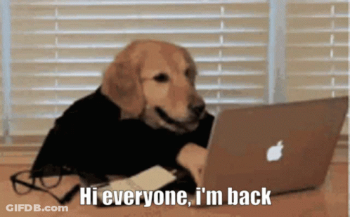A Dog Is Sitting In Front Of An Apple Laptop With The Words Hi Everyone I 'M Back Below It GIF