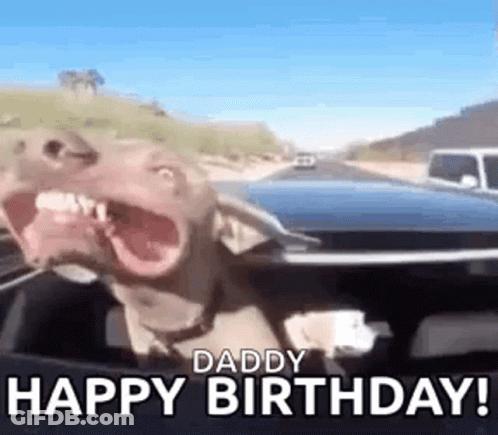 A Dog Is Sitting In The Driver 'S Seat Of A Car And Making A Funny Face . GIF