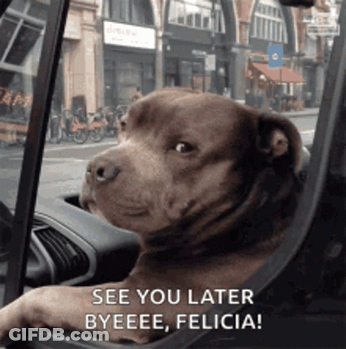 A Dog Is Sitting In The Driver 'S Seat Of A Car With The Words See You Later Byeee Felicia GIF