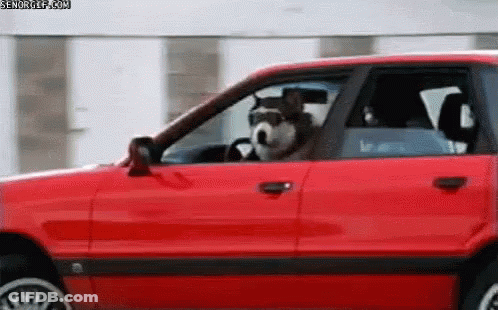 A Dog Is Sitting In The Driver 'S Seat Of A Red Car With Its Head Out The Window . GIF