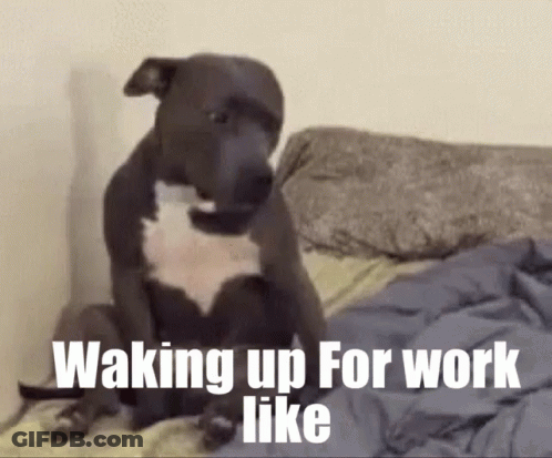A Dog Is Sitting On A Bed With The Words Waking Up For Work Like Written Below It . GIF