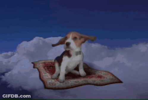 A Dog Is Sitting On A Carpet In The Clouds GIF