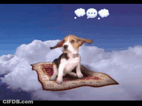 A Dog Is Sitting On A Carpet In The Sky GIF