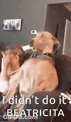 A Dog Is Sitting On A Couch Next To A Woman Who Is Covering Her Face With Her Hand . GIF