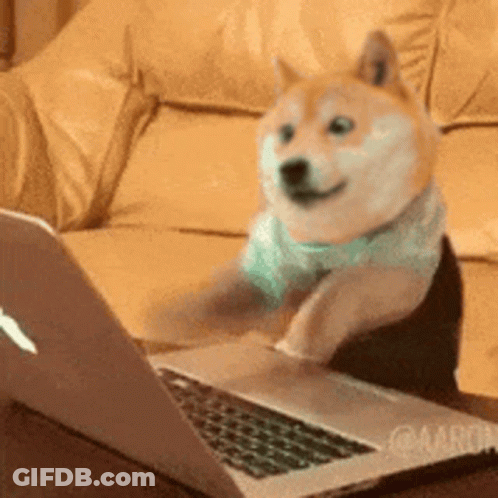 A Dog Is Sitting On A Couch Using A Laptop . GIF