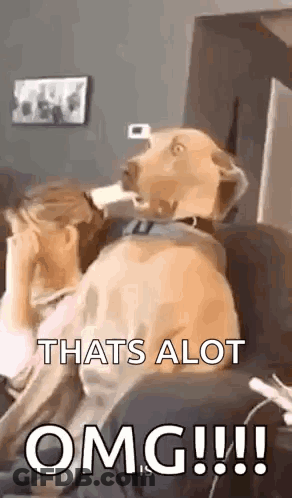 A Dog Is Sitting On A Couch With Its Head On A Woman 'S Face . GIF