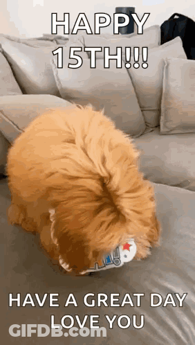A Dog Is Sitting On A Couch With The Words `` Happy 15Th ! `` And `` Have A Great Day Love You '' . GIF