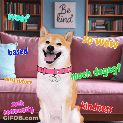 A Dog Is Sitting On A Pink Couch With Words Such As Woof Based Very Future And Such Community GIF