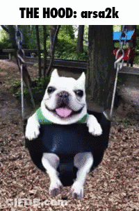 A Dog Is Sitting On A Swing With The Words The Hood Arsa2k Below It GIF
