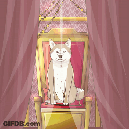 A Dog Is Sitting On A Throne In Front Of A Curtain GIF