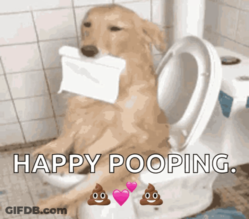 A Dog Is Sitting On A Toilet With A Roll Of Toilet Paper In Its Mouth And The Words Happy Pooping Above It GIF