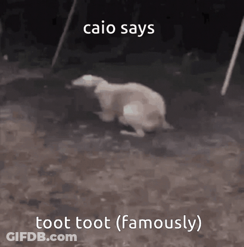 A Dog Is Sitting On The Ground With The Words `` Caio Says Toot Toot ( Famously ) '' Written Above It . GIF