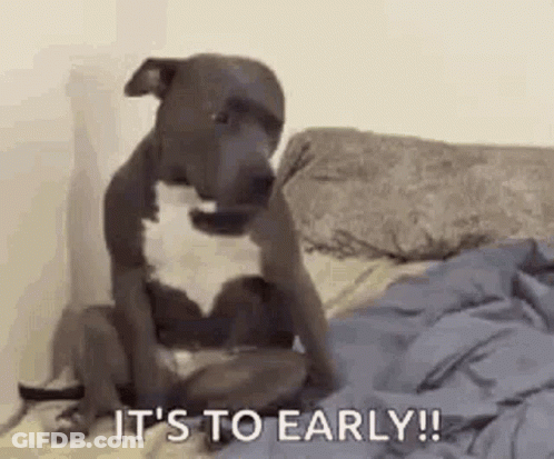 A Dog Is Sitting On Top Of A Bed With The Words `` It 'S To Early '' . GIF
