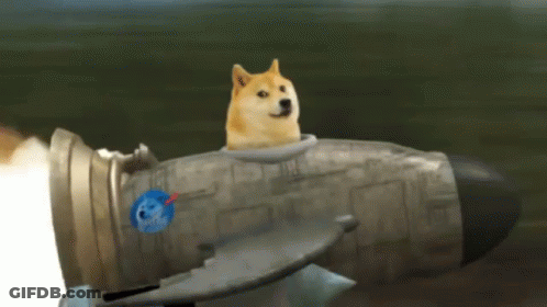 A Dog Is Sitting On Top Of A Rocket With The Earth Sticker On It GIF