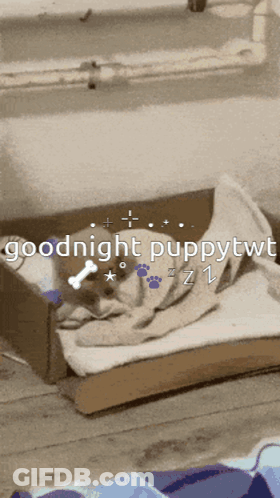 A Dog Is Sleeping In A Cardboard Box With The Words " Goodnight Puppytwt " On The Bottom GIF