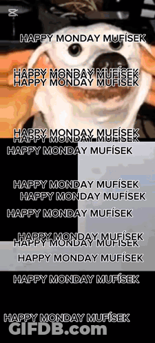 A Dog Is Smiling And Saying Happy Monday Mufisek GIF