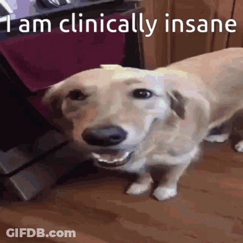 A Dog Is Smiling With The Words " I Am Clinically Insane " On The Bottom GIF