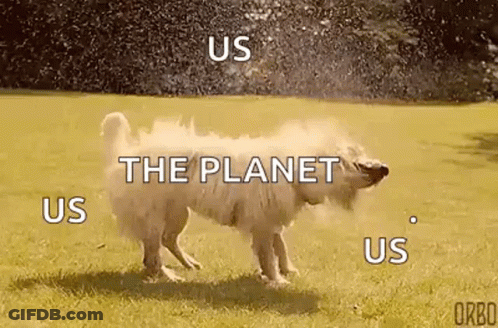 A Dog Is Spraying Water On Itself In A Field With The Words `` Us The Planet Us Us '' . GIF
