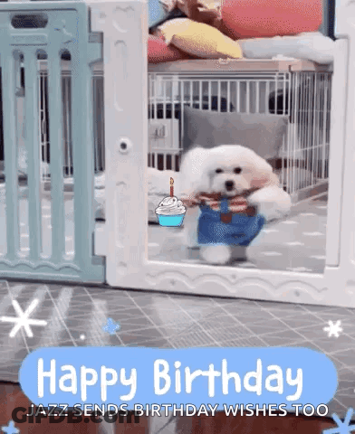 A Dog Is Standing In A Cage With A Birthday Cake And A Candle . GIF