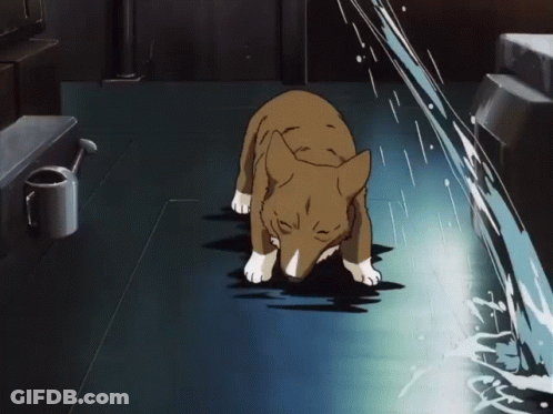 A Dog Is Standing In A Dark Room With A Watering Can On The Wall GIF
