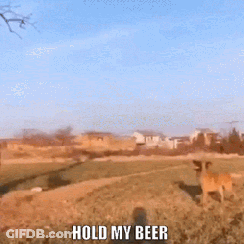 A Dog Is Standing In A Field With The Words Hold My Beer Above It GIF