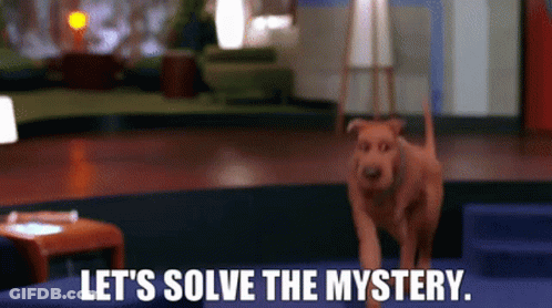 A Dog Is Standing In A Room With The Words `` Let 'S Solve The Mystery '' Written Above It . GIF