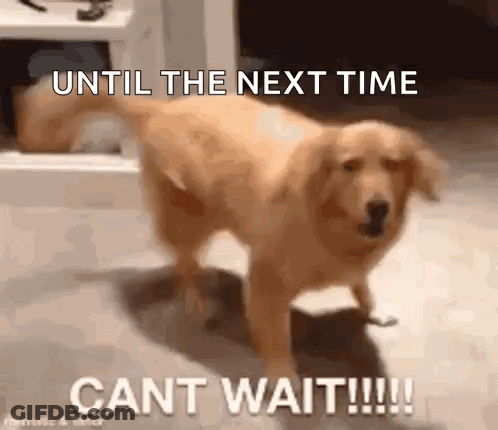 A Dog Is Standing In A Room With The Words `` Until The Next Time Cant Wait !!! '' GIF