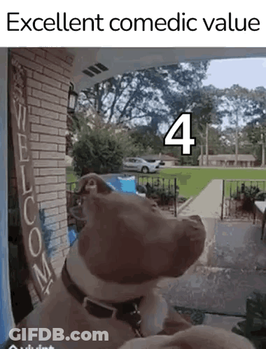 A Dog Is Standing In Front Of A Brick Building With A Sign That Says Welcome . GIF