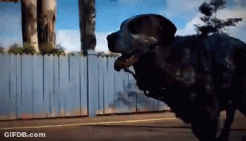 A Dog Is Standing In Front Of A Fence With A Statue In The Background GIF