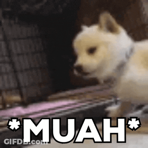 A Dog Is Standing In Front Of The Word Muah GIF