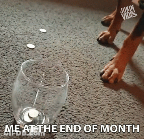 A Dog Is Standing Next To An Empty Wine Glass With A Coin In It And A Caption That Says Me At The End Of Month GIF