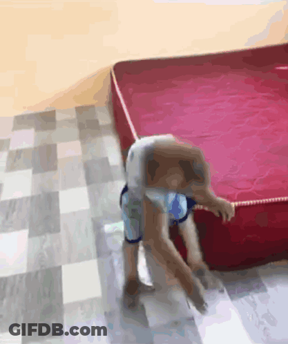 A Dog Is Standing On A Red Mattress On A Checkered Floor GIF